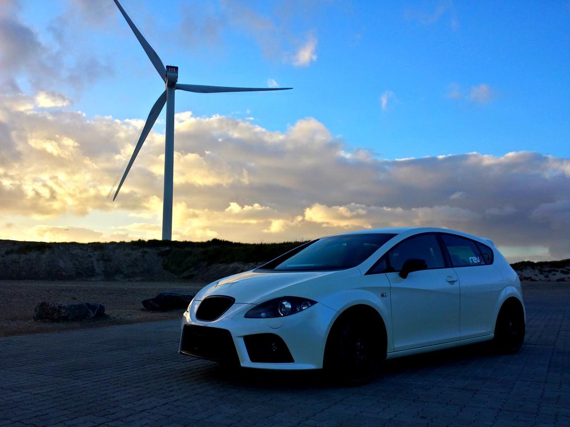 Seat Leon Cupra RT500 (Solgt) billede 6