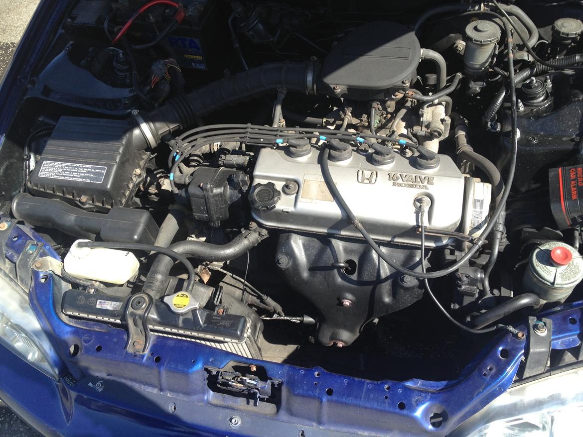 Honda Civic Lækkermåsen ( Tidl. Bil ) billede 3