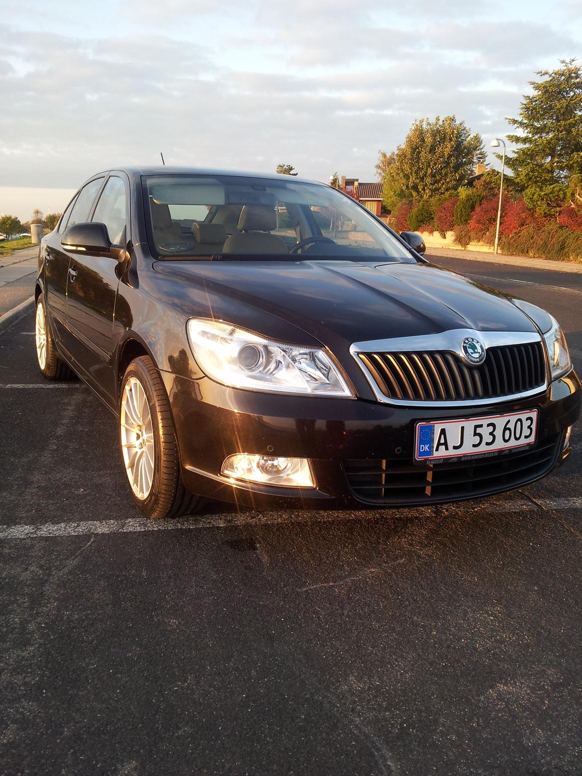 Skoda Octavia 1,4 TSI Elegance DSG billede 1