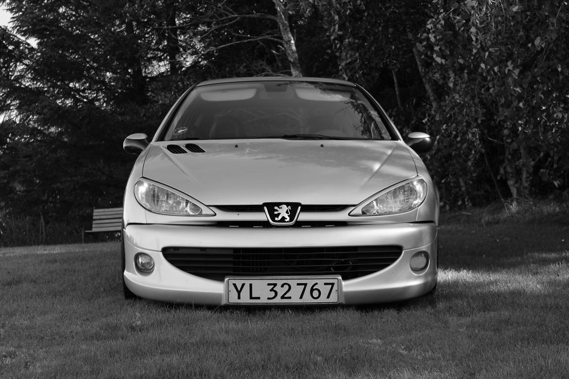 Peugeot 206 GTi billede 10