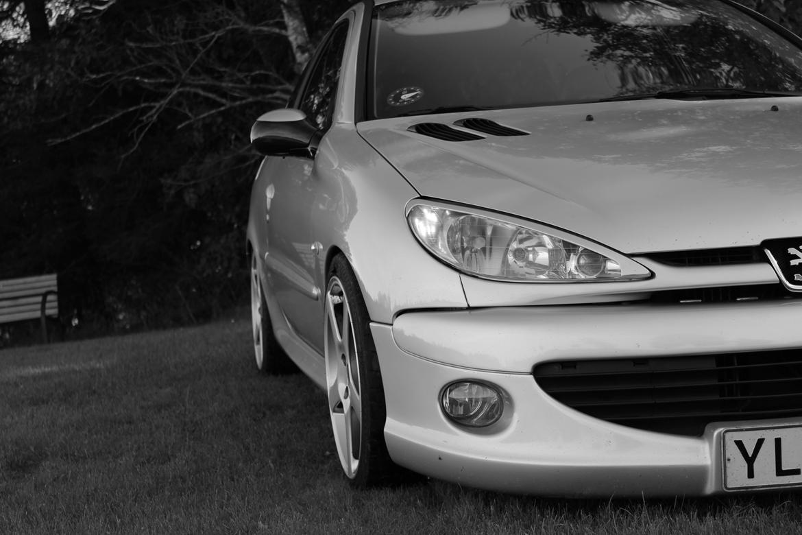 Peugeot 206 GTi billede 11
