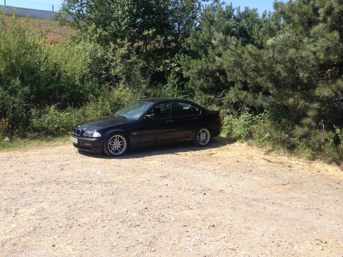 BMW E46 316i 1,9 billede 12