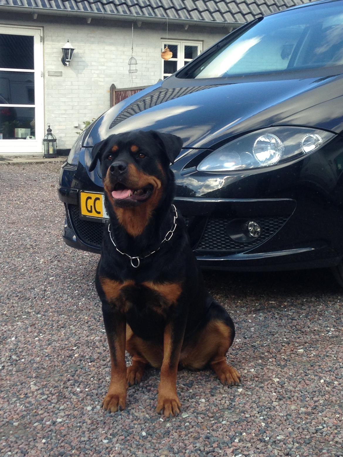 Seat Altea 2.0 DSG Sport Up billede 6