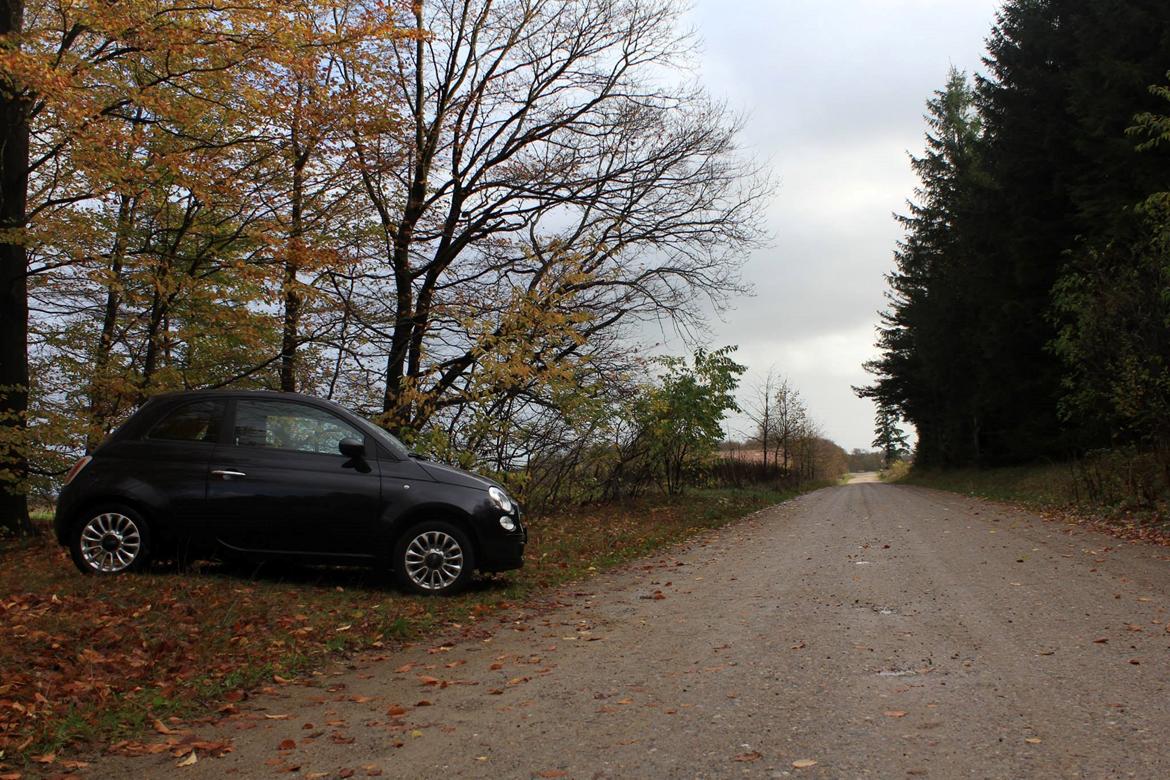 Fiat 500 WIND S/S billede 14