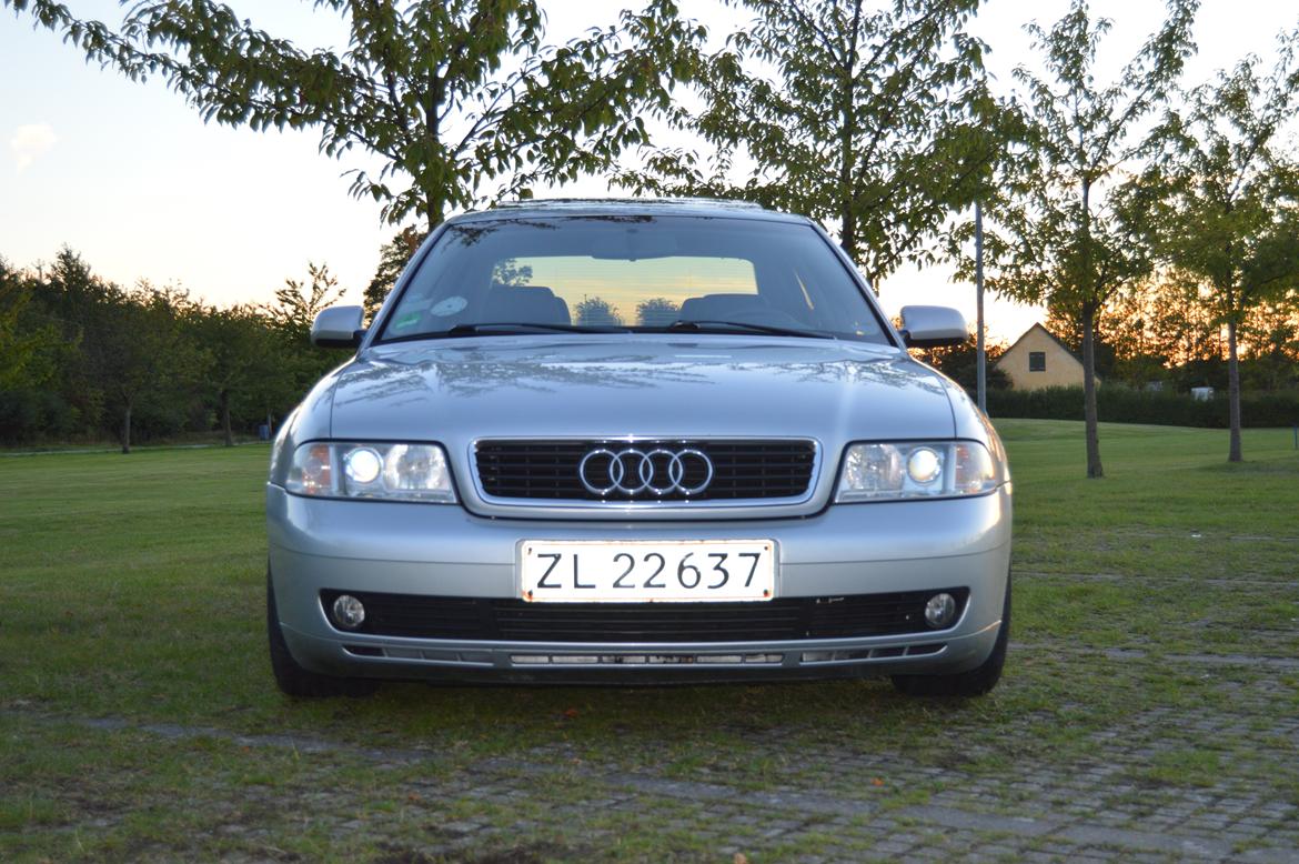 Audi A4 SOLGT billede 5