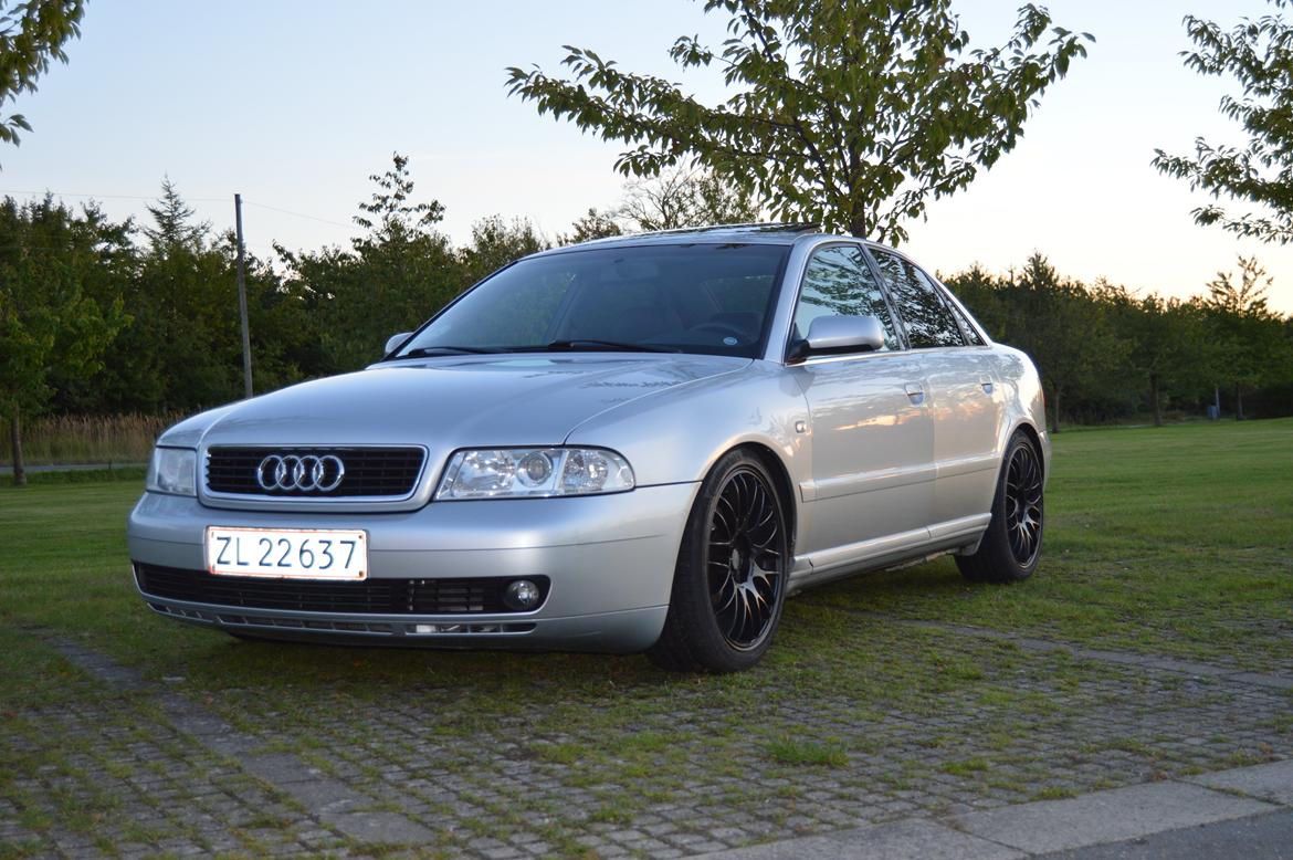 Audi A4 SOLGT billede 6