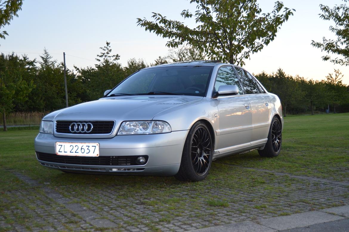 Audi A4 SOLGT billede 6