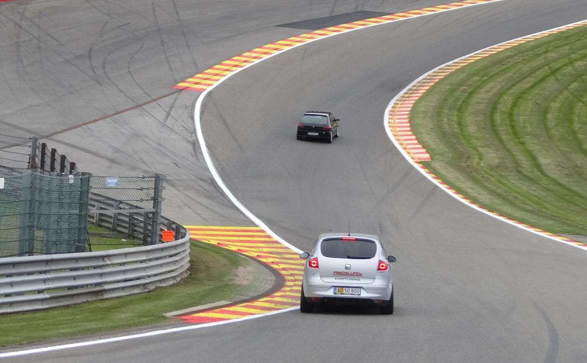 Seat Altea billede 10