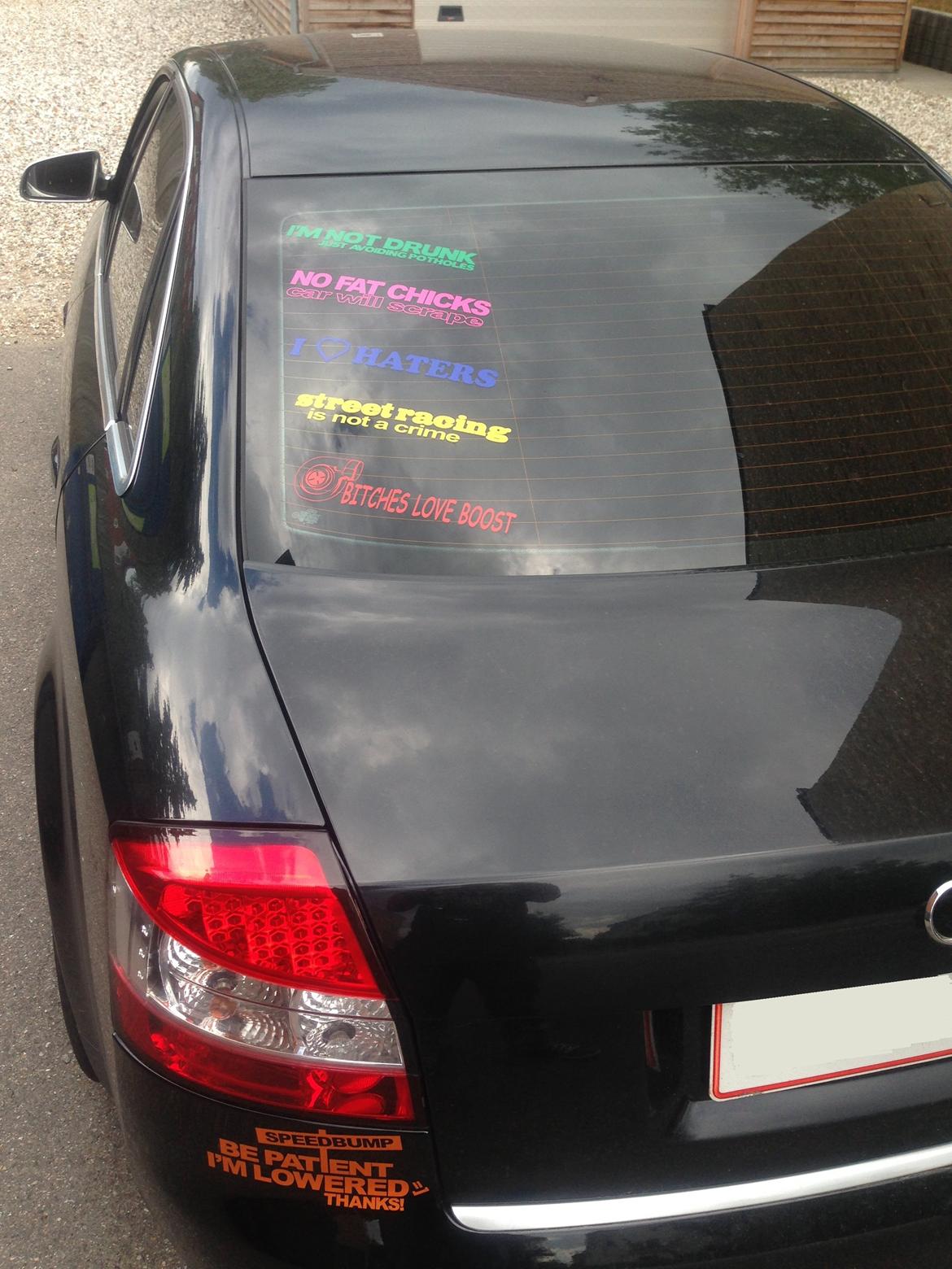 Audi A4 B6 8E 1.8T billede 10