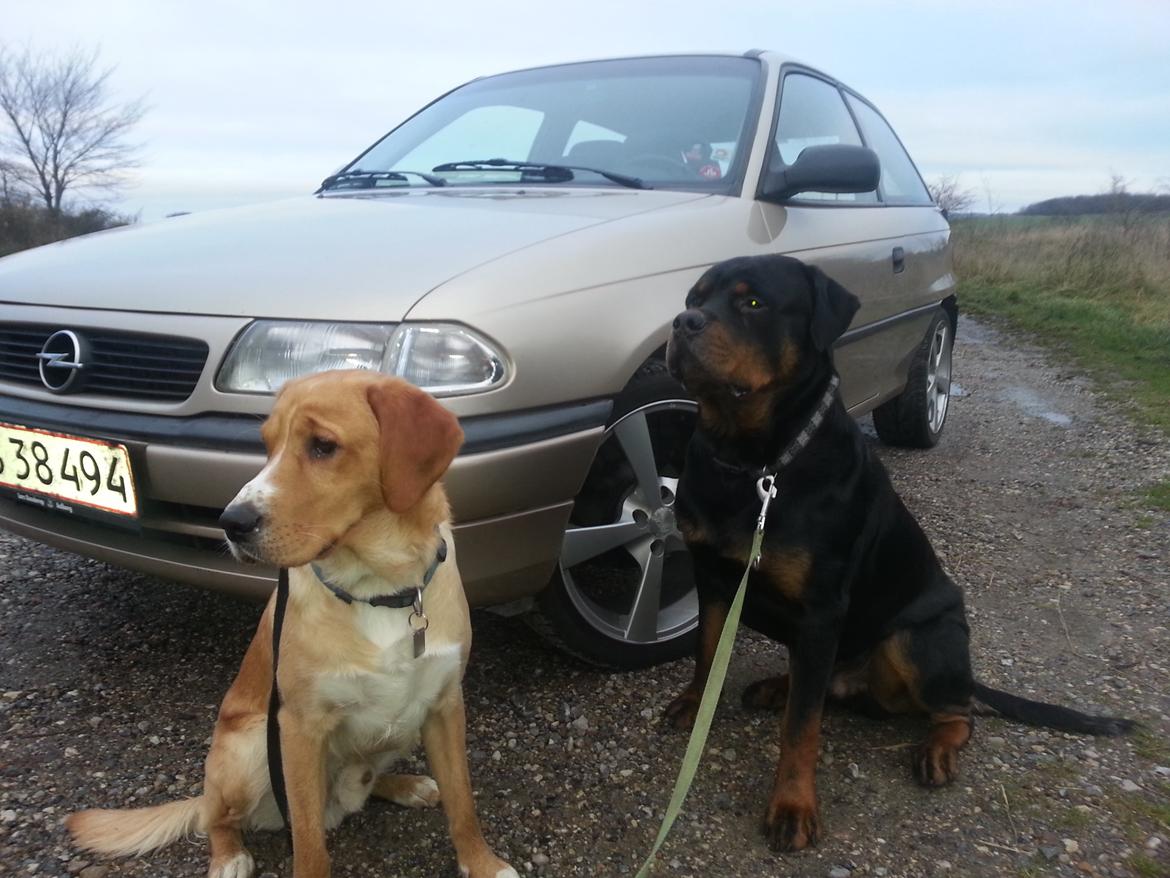 Opel Astra billede 2