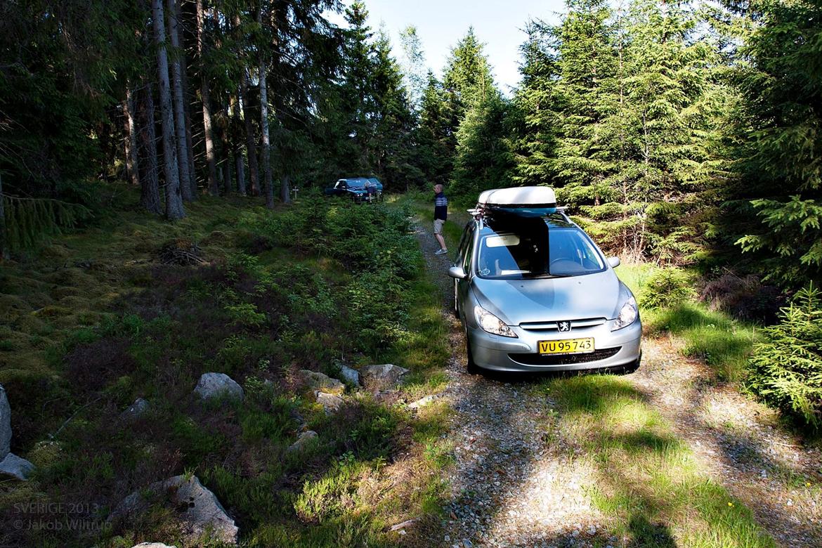 Peugeot 307sw airvan billede 13