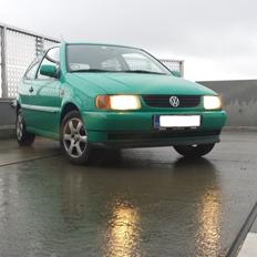 VW polo 6n1