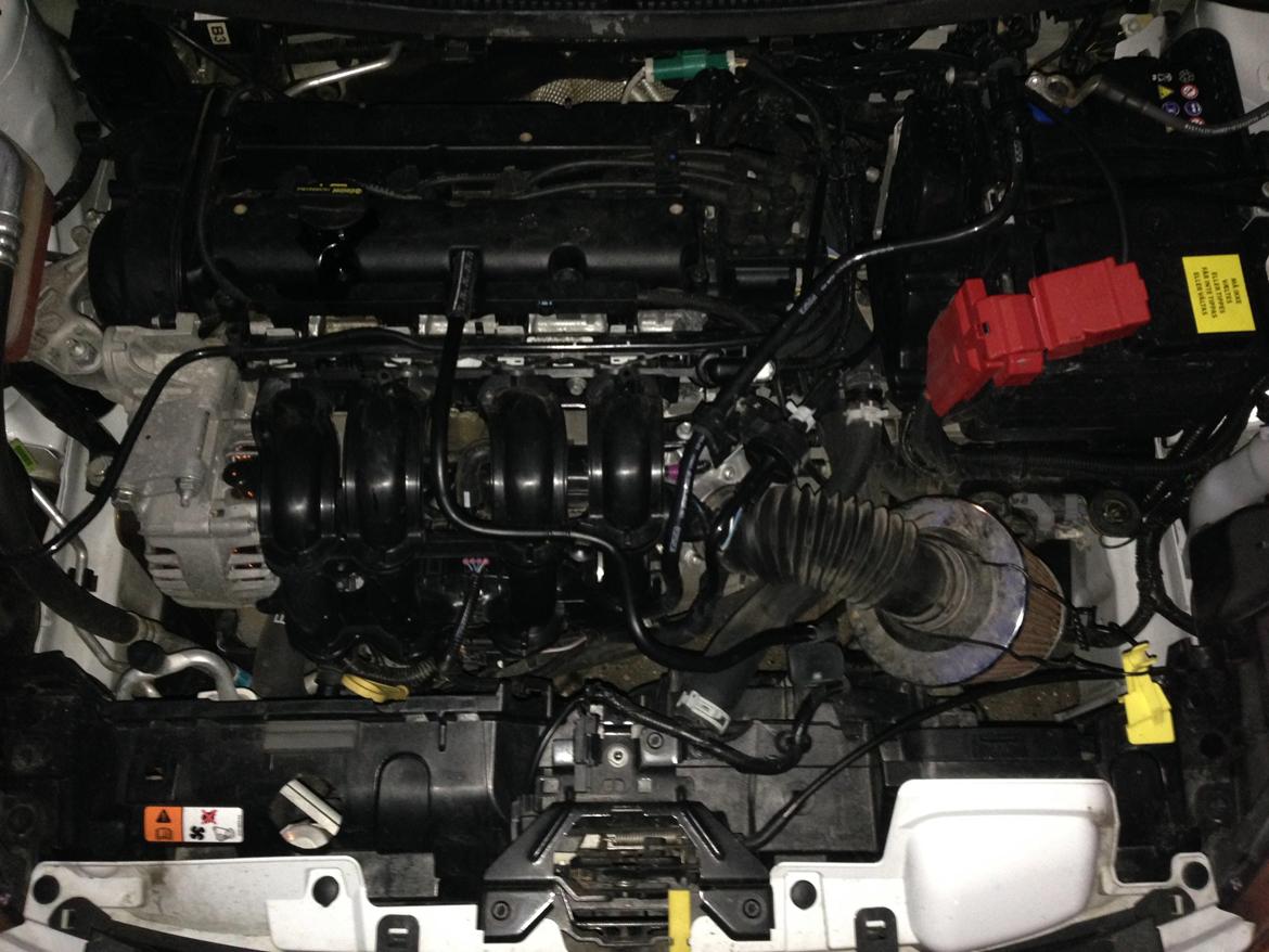 Ford Fiesta mk7 Trend billede 3