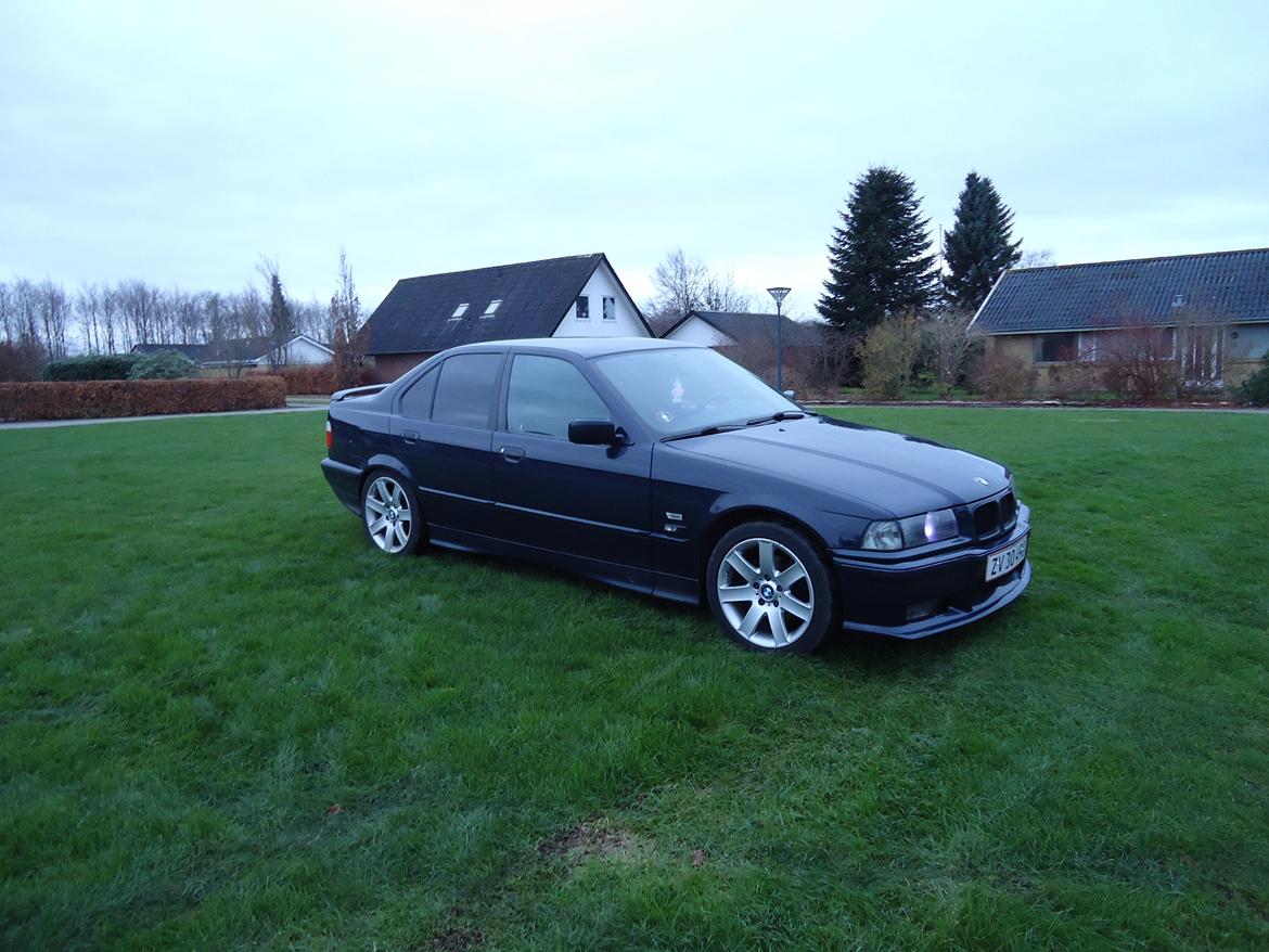 BMW E36 billede 7