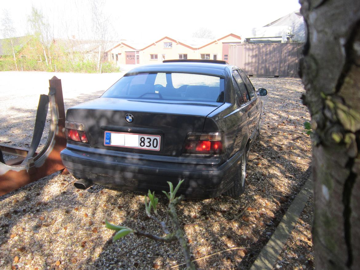 BMW E36 320i Sedan billede 15