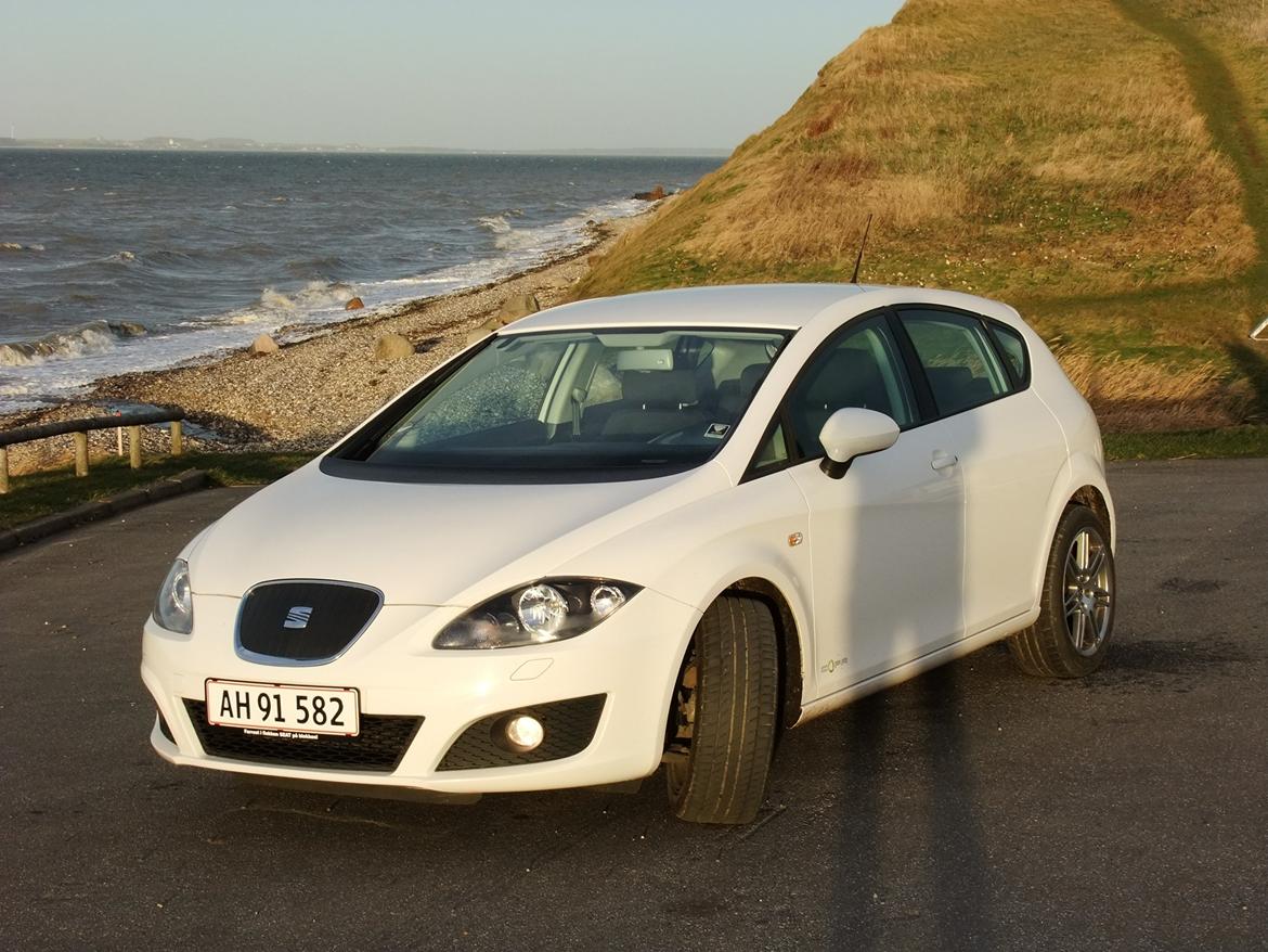 Seat Leon Copa Style billede 1