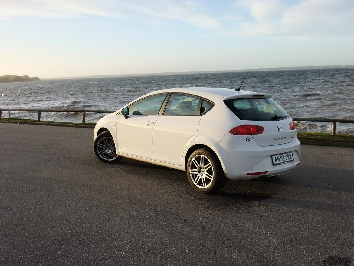 Seat Leon Copa Style billede 5