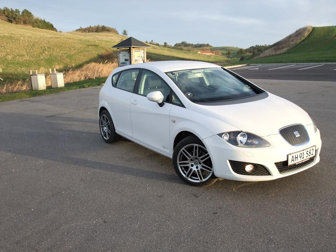 Seat Leon Copa Style billede 3