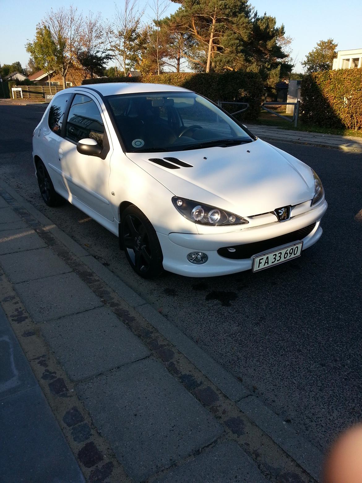 Peugeot 206 S16 billede 19