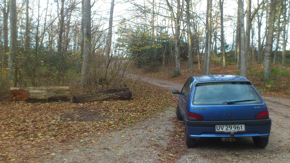 Peugeot 106 xsi billede 14