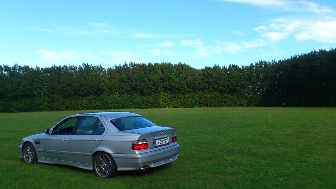 BMW e36 325i/ alpina billede 2