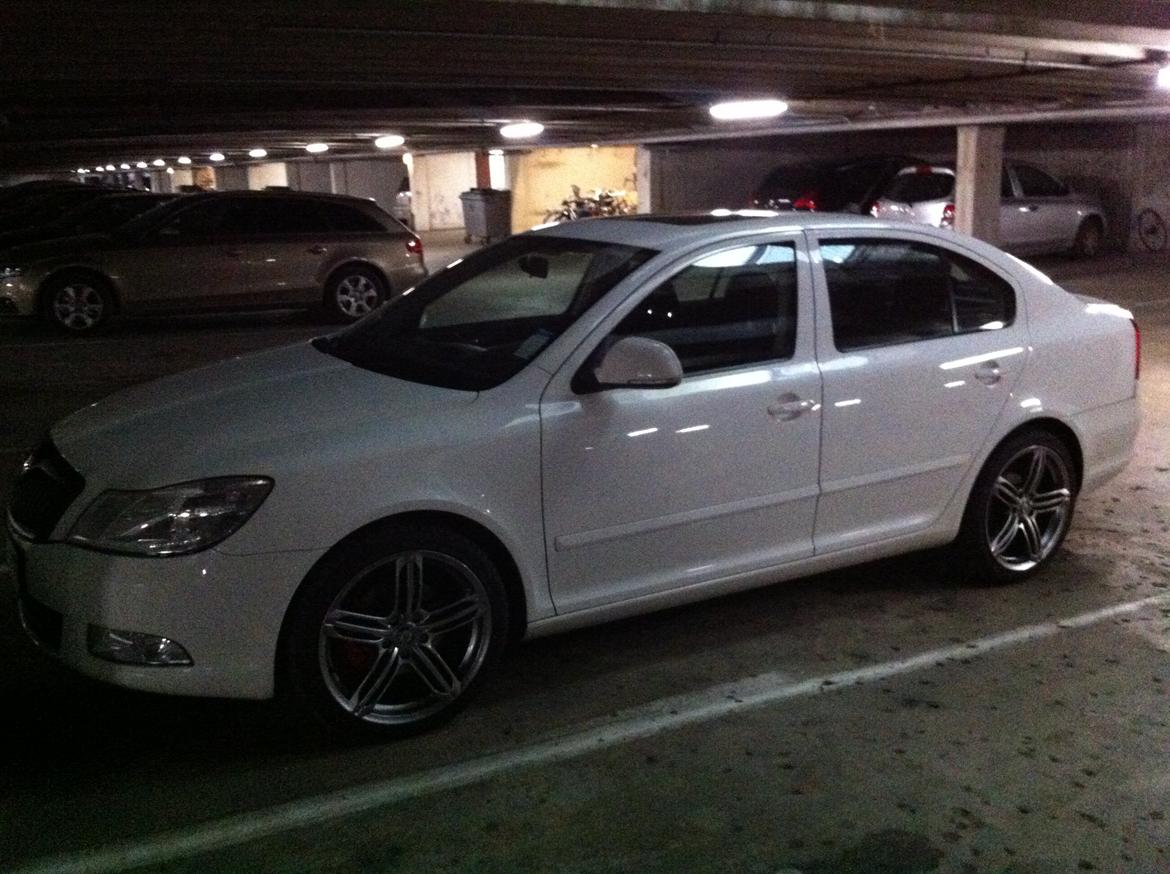 Skoda Octavia 2.0 TDI Ambiente  (SOLGT) billede 6