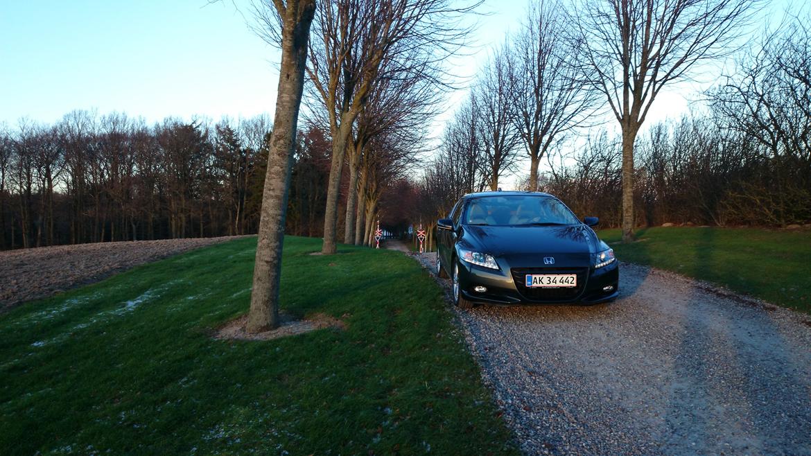 Honda Cr-z GT billede 7