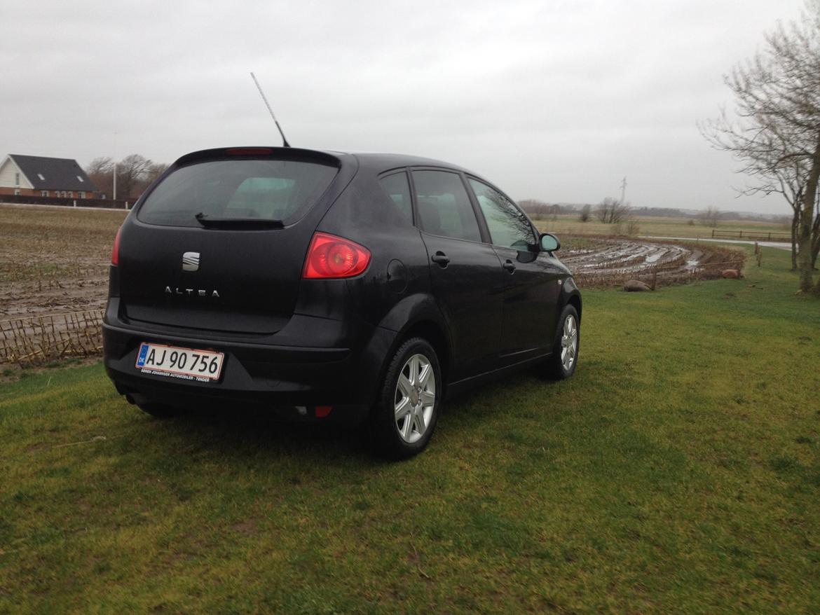 Seat Altea billede 12