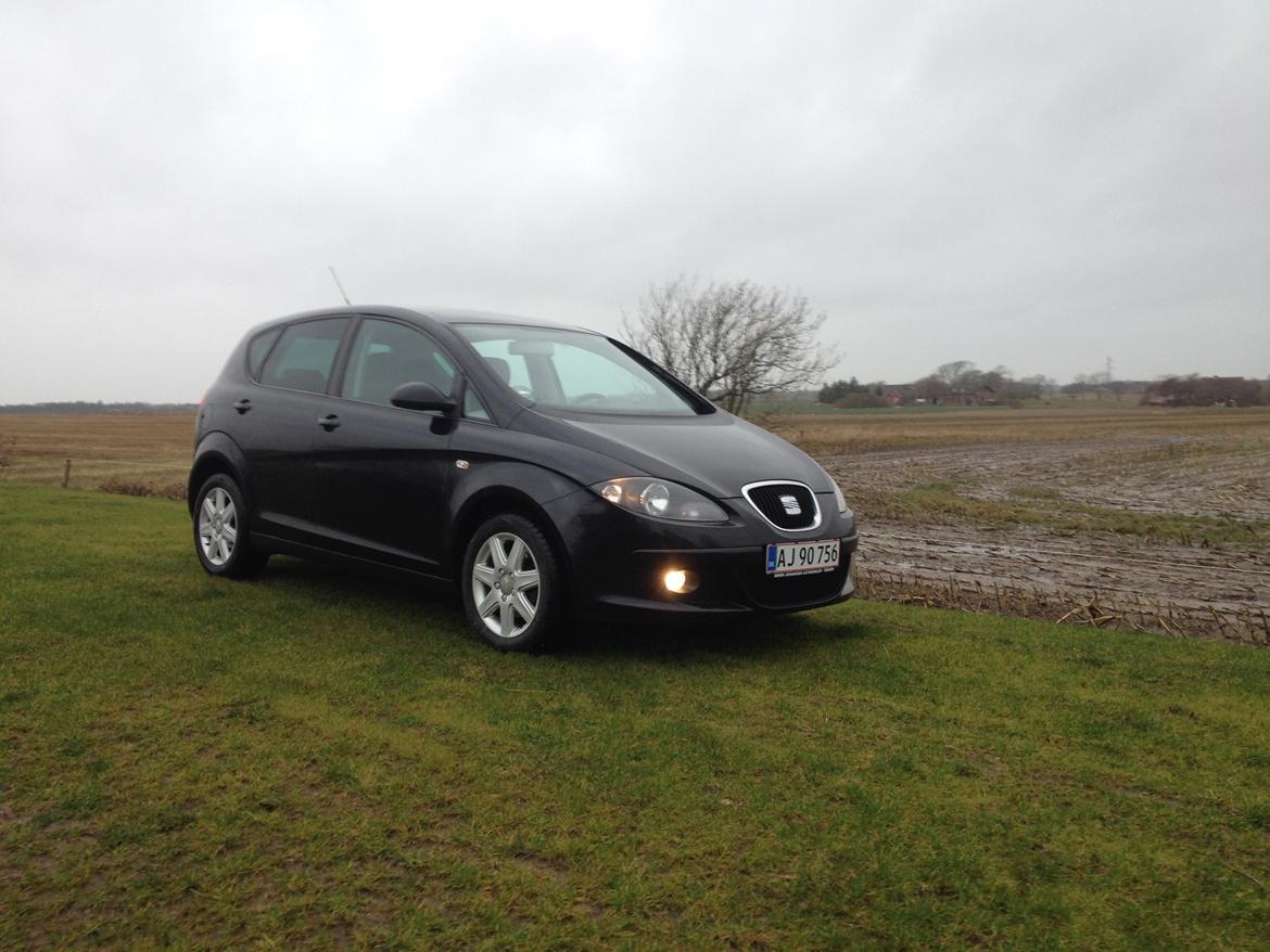 Seat Altea billede 1