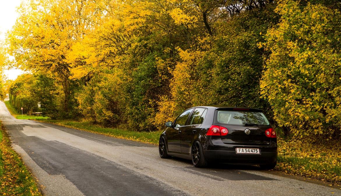 VW Golf V 1.9 TDI - 105 HK billede 2