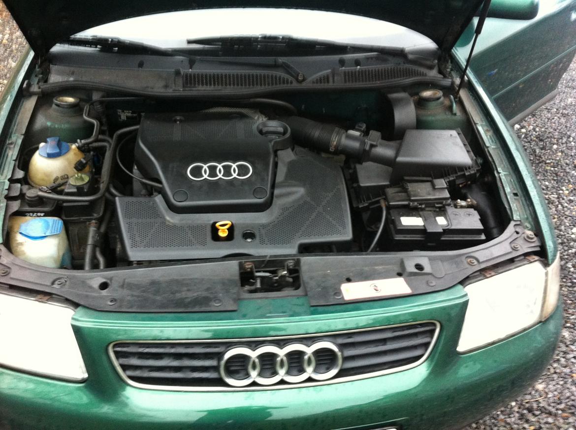 Audi A3 Ambiente billede 7