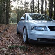 VW Passat 3b