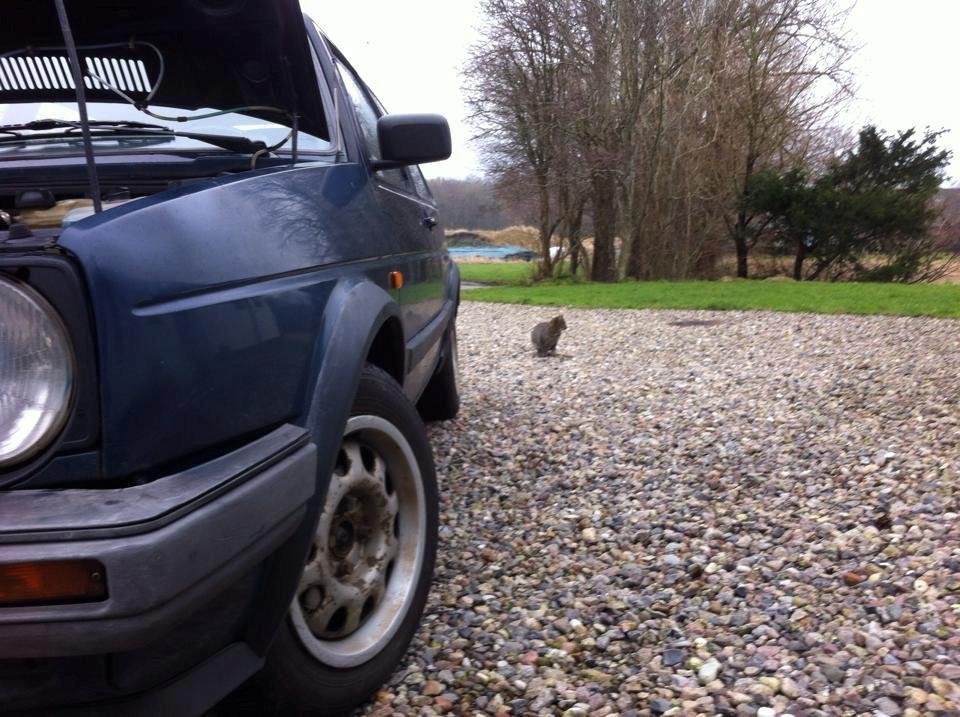 VW Golf II billede 8