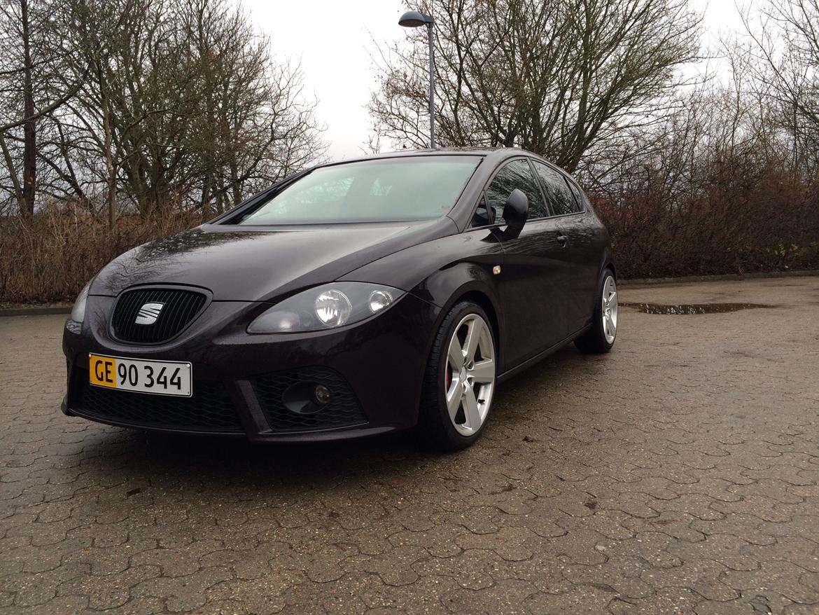 Seat Leon Cupra billede 2
