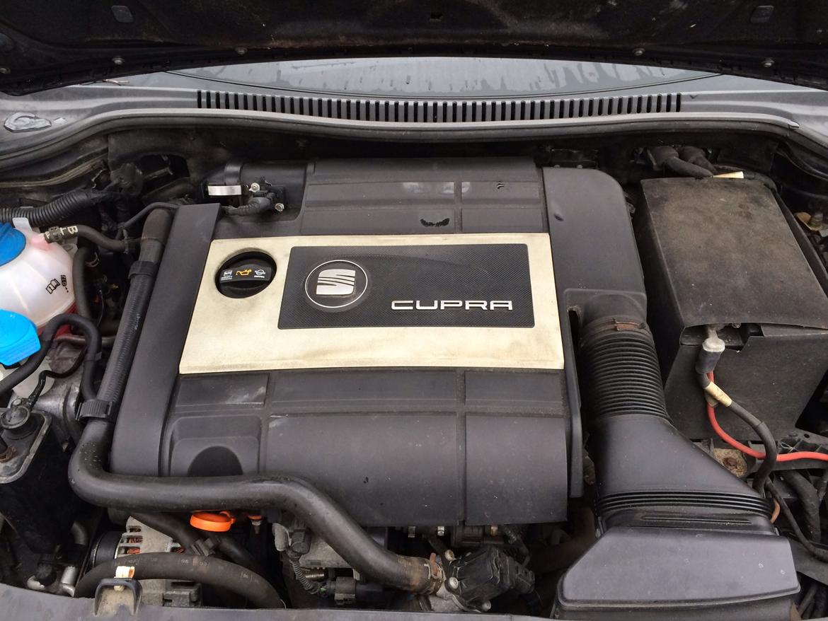 Seat Leon Cupra billede 4