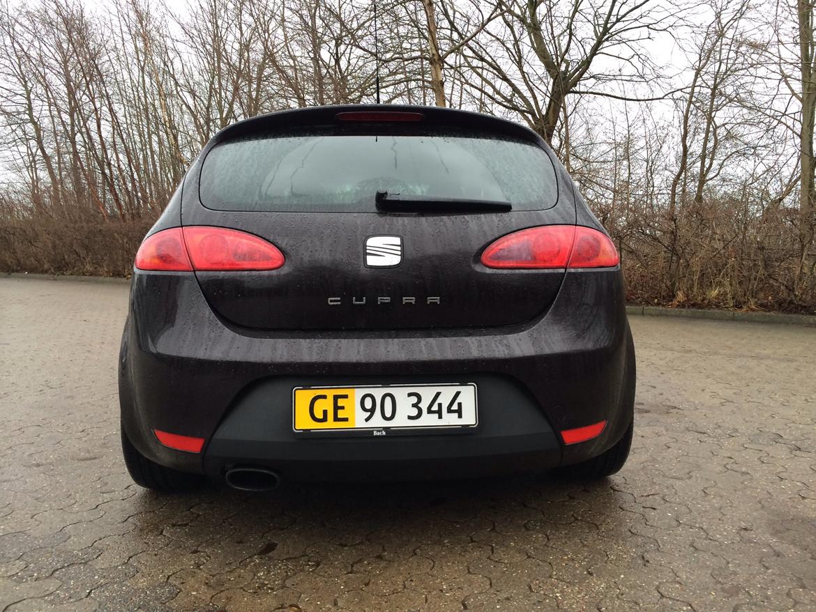 Seat Leon Cupra billede 8