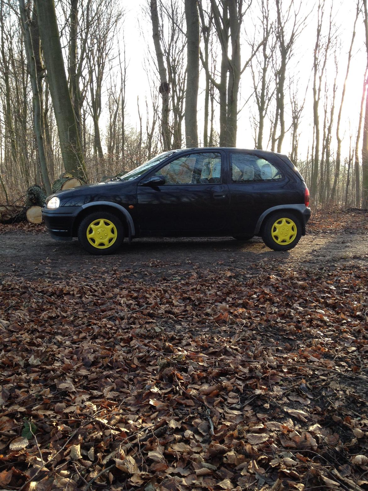 Opel Corsa B "sport" 1,4 16v billede 11