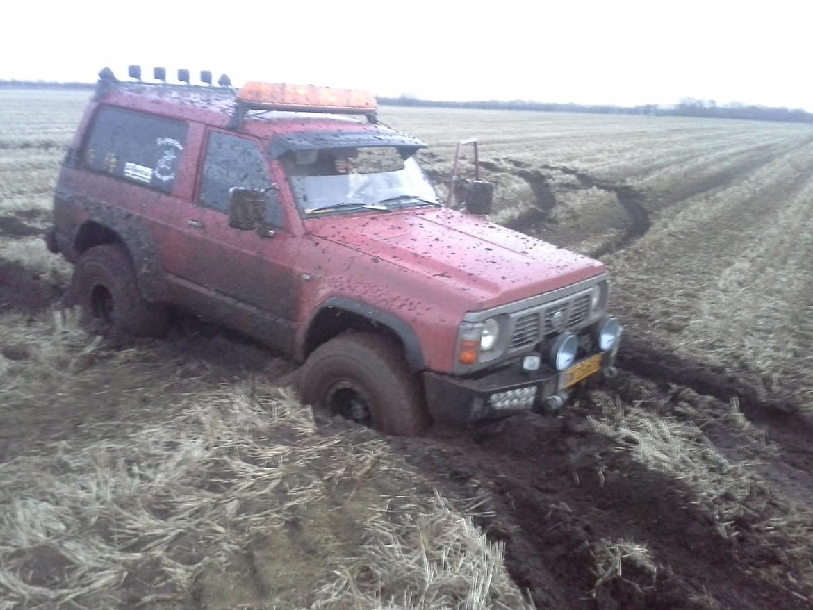 Nissan patrol GR Y60 billede 15