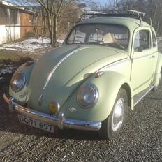 VW bobbel