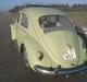 VW bobbel