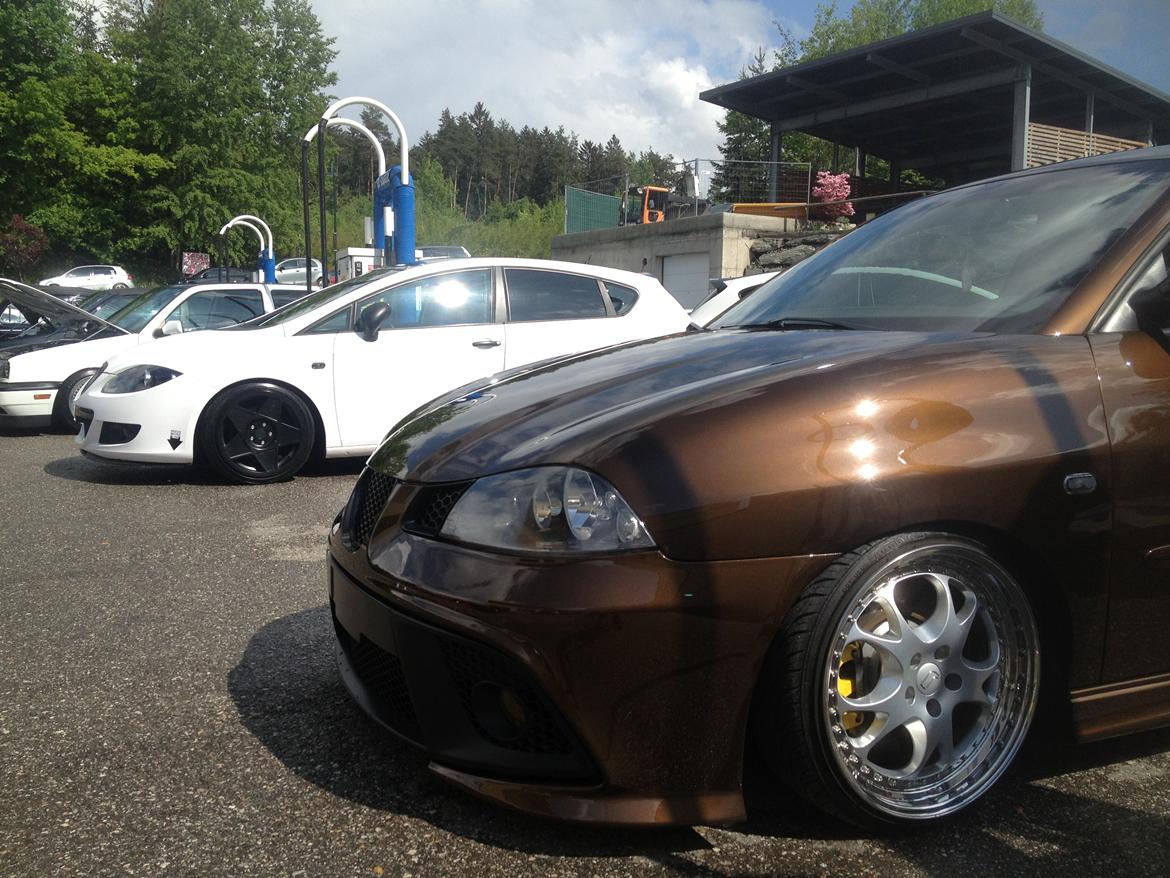 Seat Leon 2.0 TFSi - Her holdende i Wörthersee ved siden af min vens Ibiza billede 2