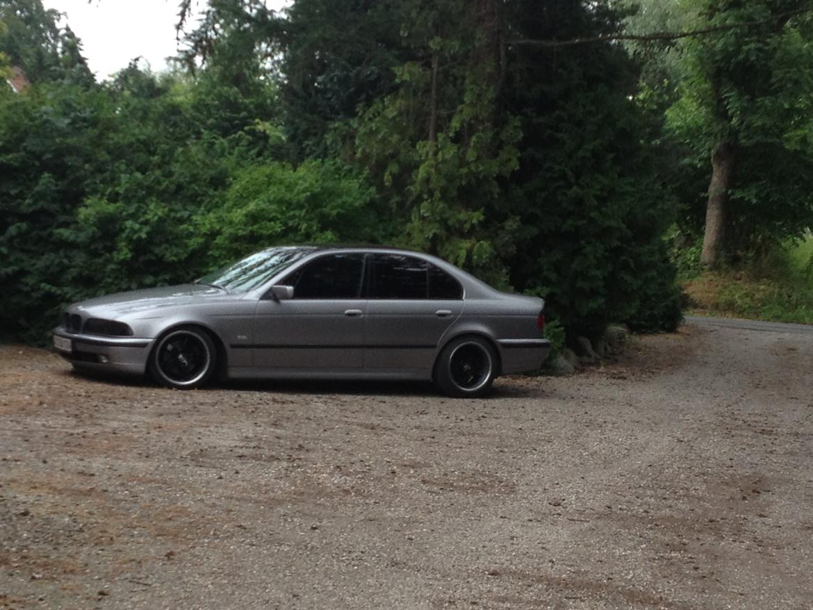 BMW e39 523i SOLGT billede 8