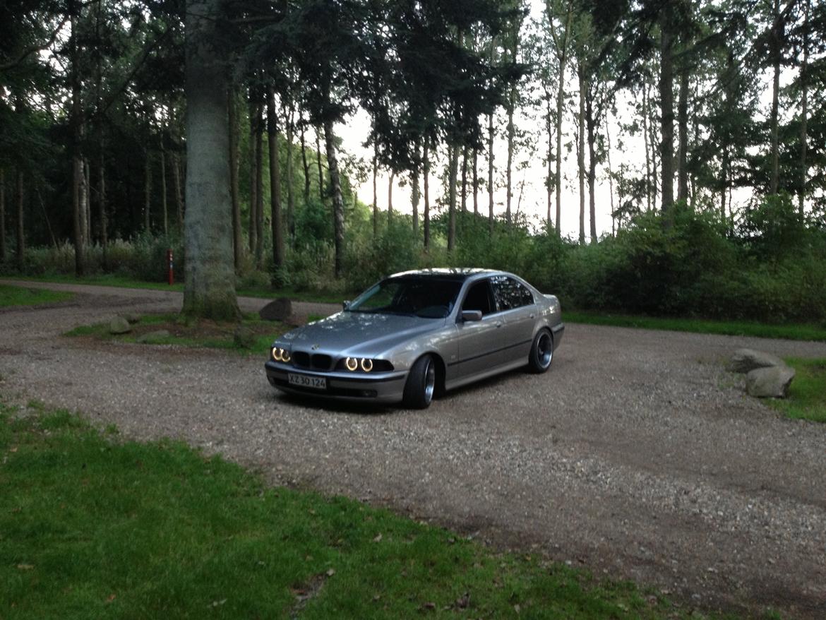 BMW e39 523i SOLGT billede 10
