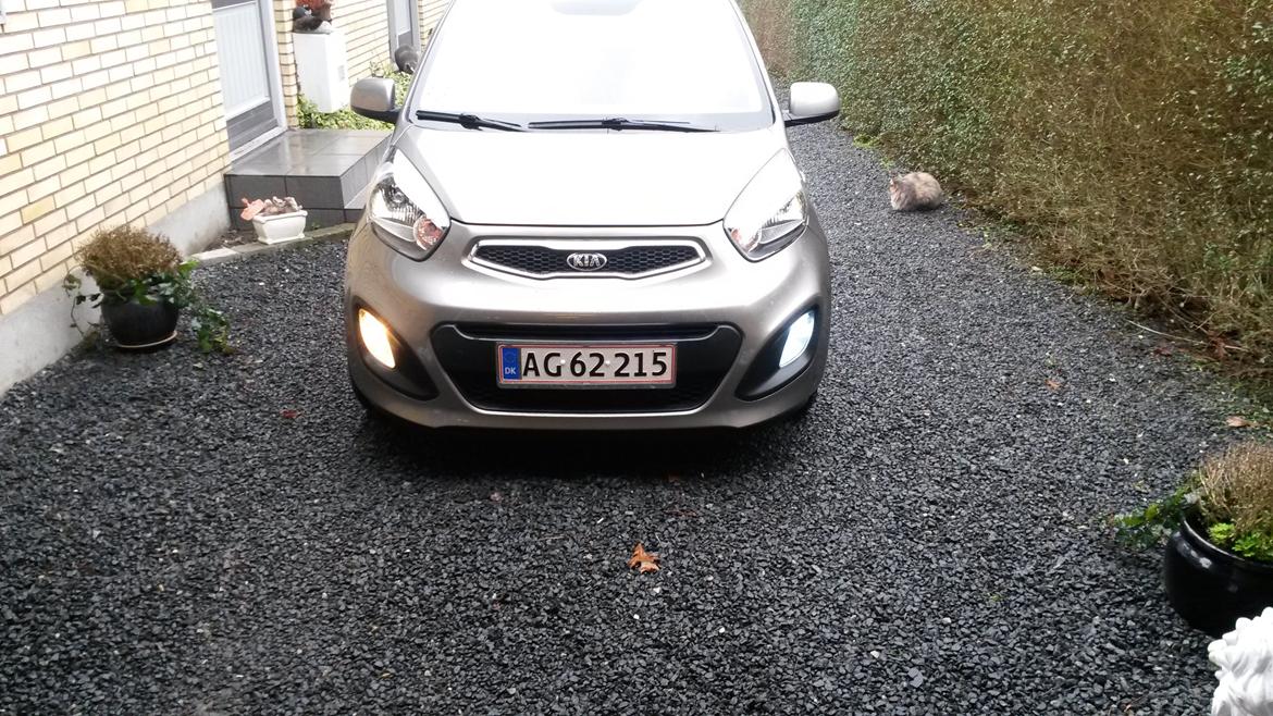 Kia Picanto - Led i venstre og alm. lys i højre. billede 13