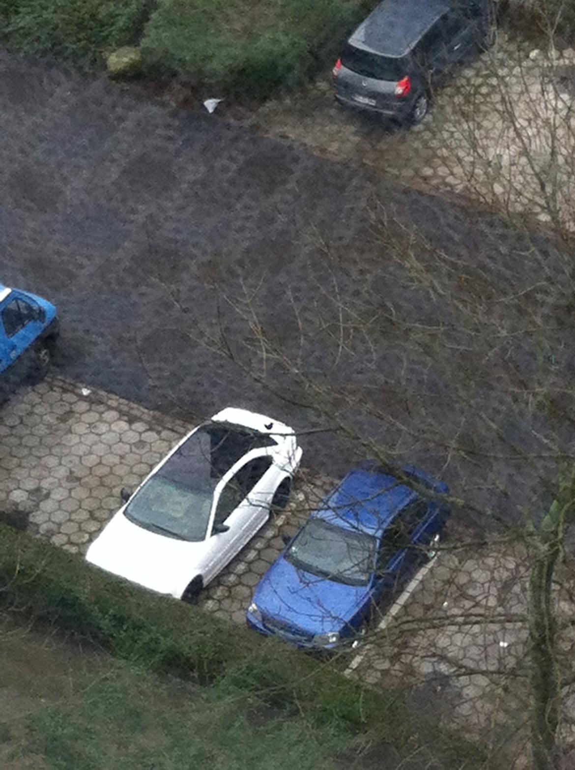 Hyundai accent  GT billede 17