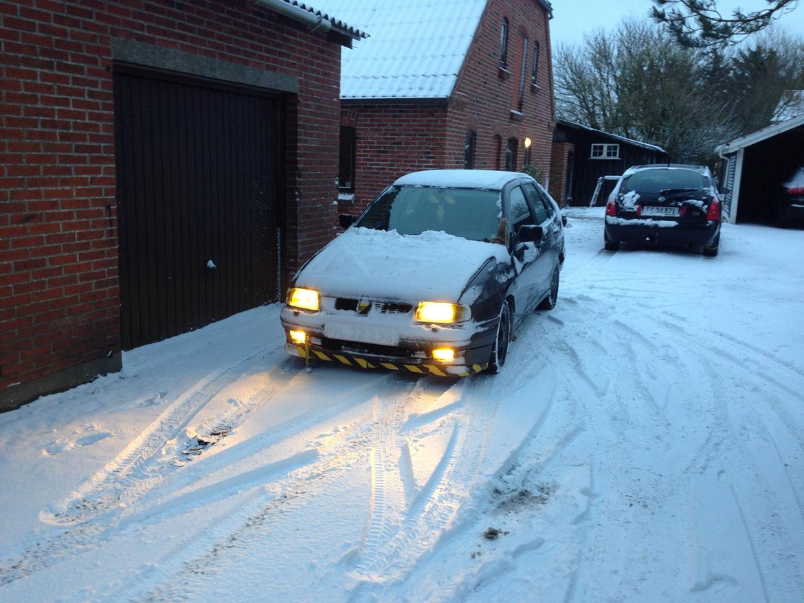 Seat "Stock'dorba" Cordoba - vinterracer billede 11