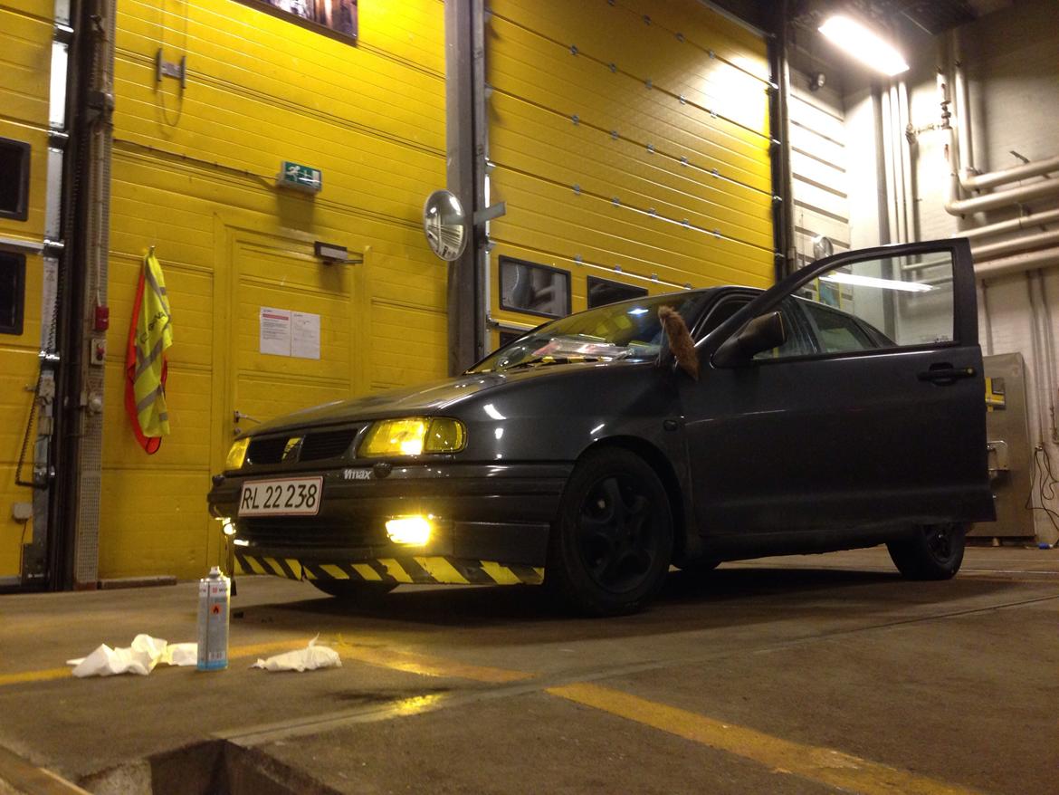 Seat "Stock'dorba" Cordoba - vinterracer billede 13