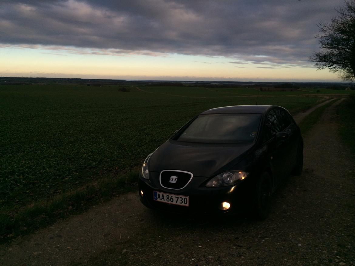 Seat Leon 1,9 TDI billede 2