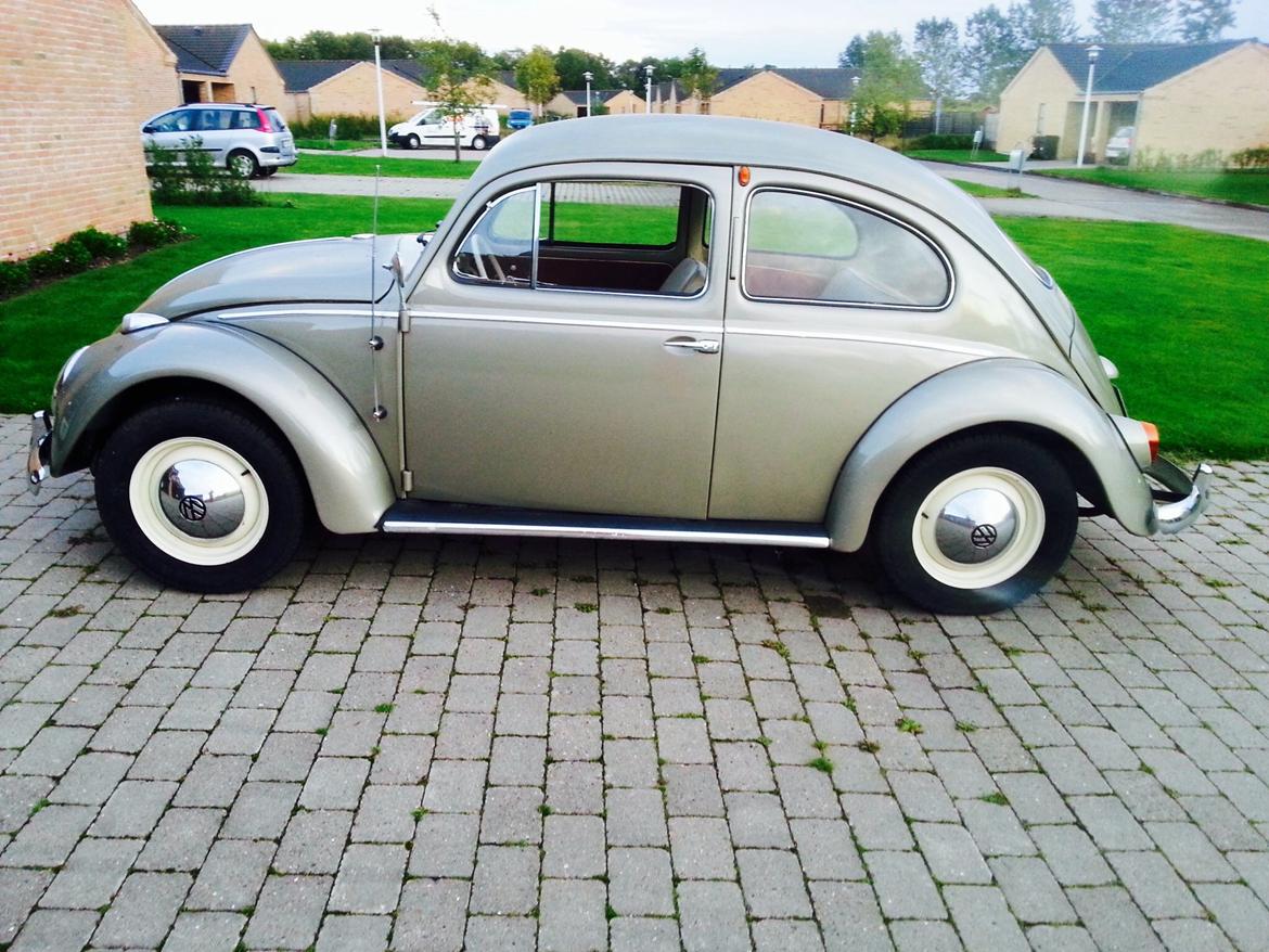 VW Vw bobbel 1200 111. billede 2