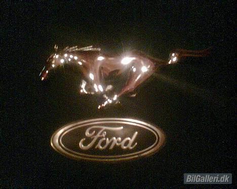 Ford capri 2.3/2.8i  - en lille fin hest, fra en mustang ser lidt bedre ud end det blå ford logo billede 20